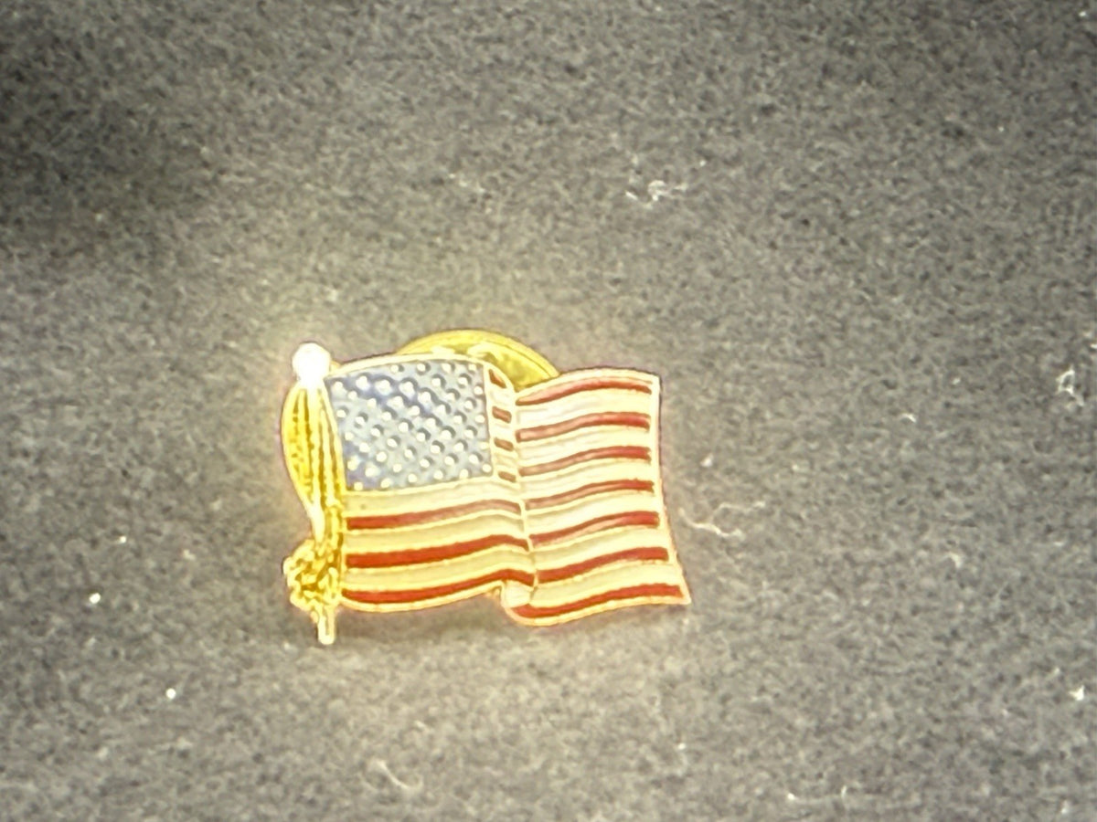 USA American Flag Patriotic Lapel Pin, Gold Tone Enamel Red White Blue