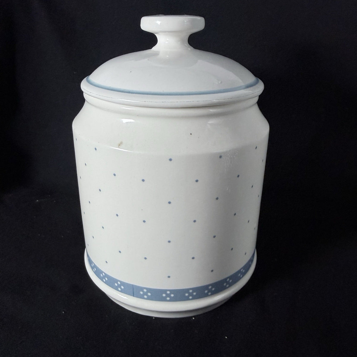 Vintage Ceramic Goose Canister Jar w/ Lid Blue Yellow Farmhouse Kitchen Decor.